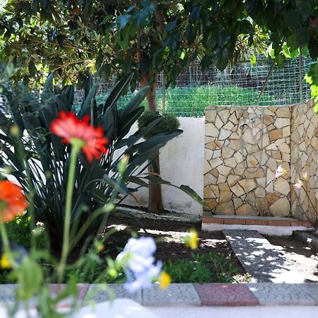 B&B Del Sole Tropea Riaci Kültér fotó
