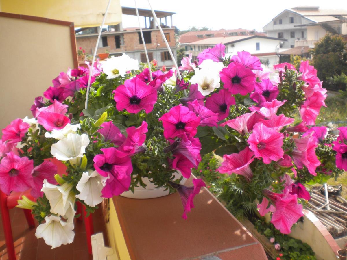 B&B Del Sole Tropea Riaci Kültér fotó